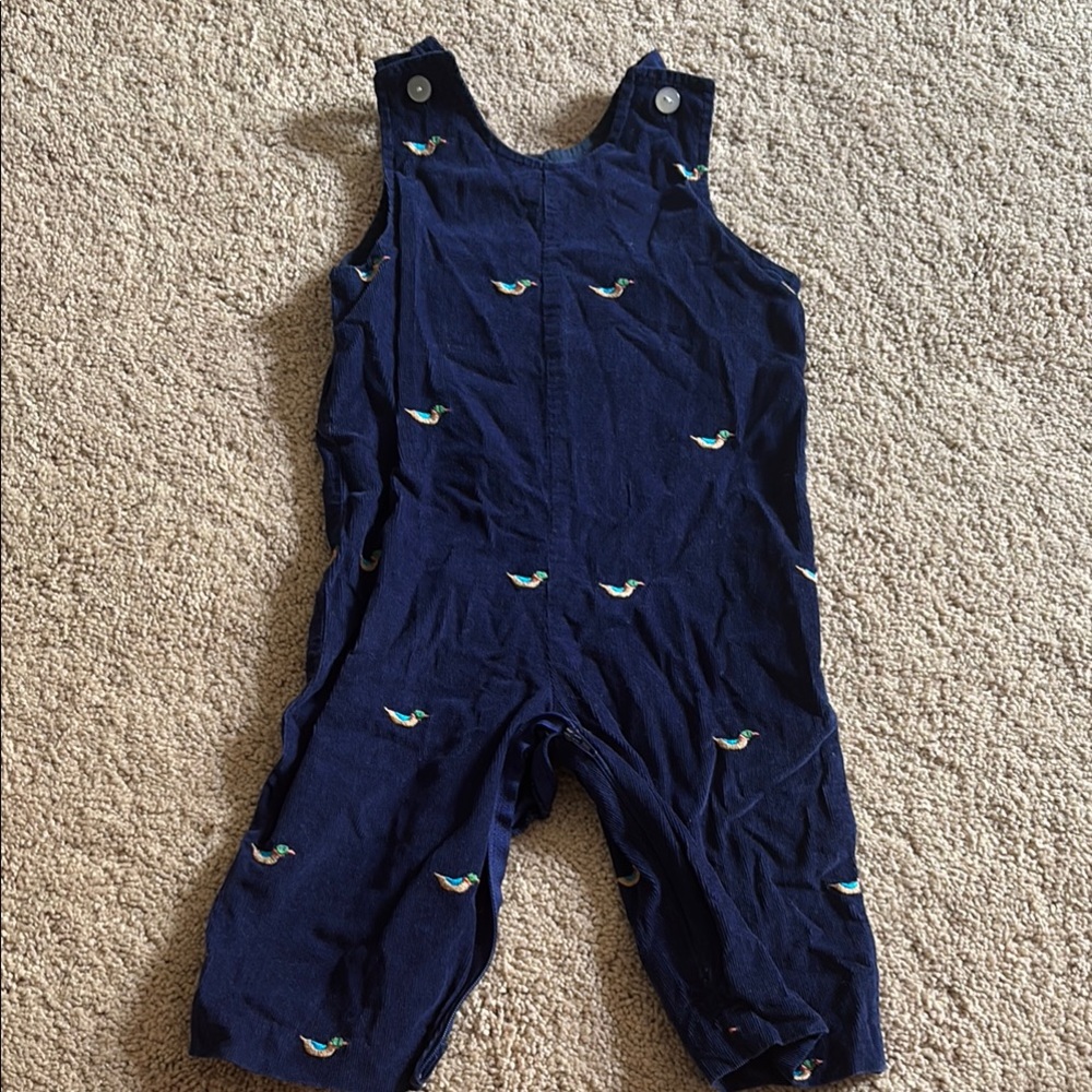 Blue Corduroy Overalls with Duck Print